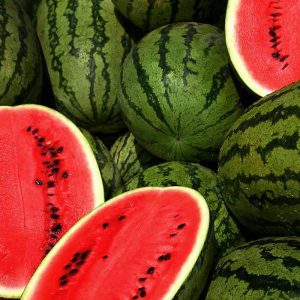 SpongeBob Trivia Quiz Watermelon