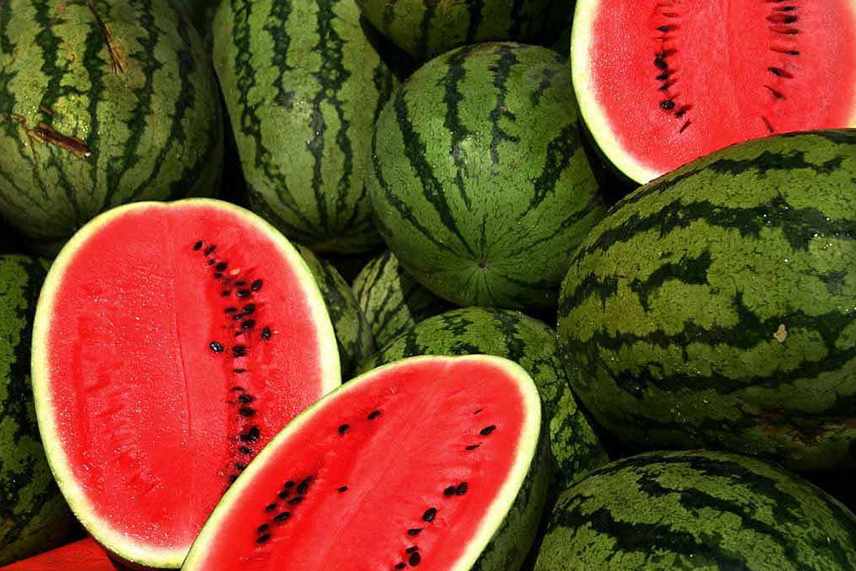 🍓 Sorry, But If You Can’t Pass This Plural Word Test, You Can Never Have Fruits Again Watermelon
