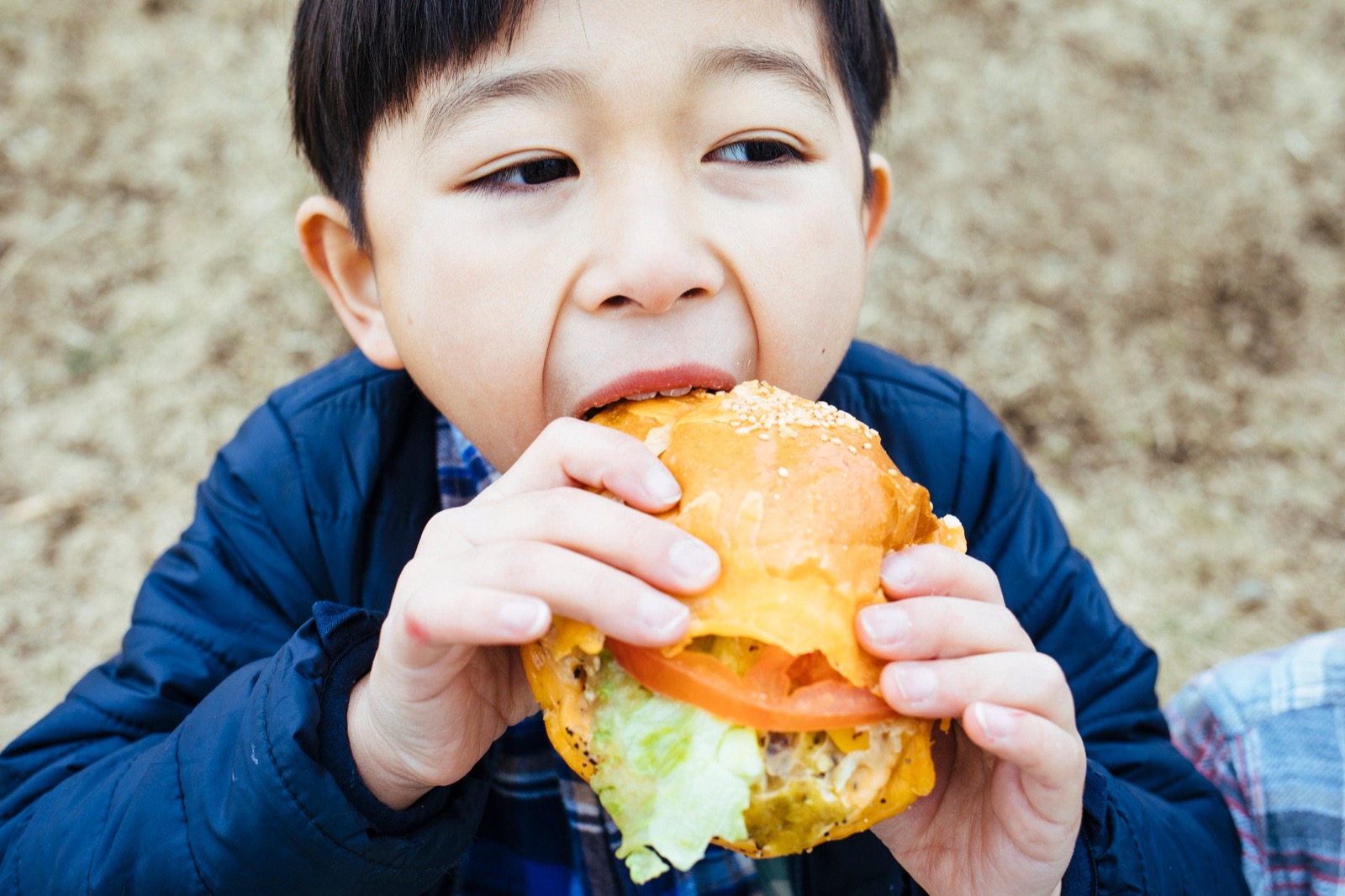 Could You Actually Go on a Vegan, Vegetarian or Pescatarian Diet? Child Eating Hamburger