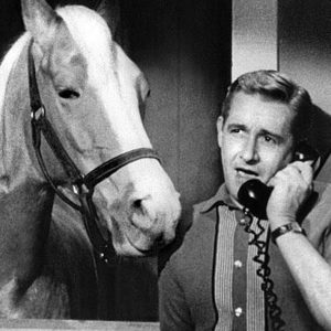 The Hardest Game of “Which Must Go” For Anyone Who Loves Classic TV Mister Ed