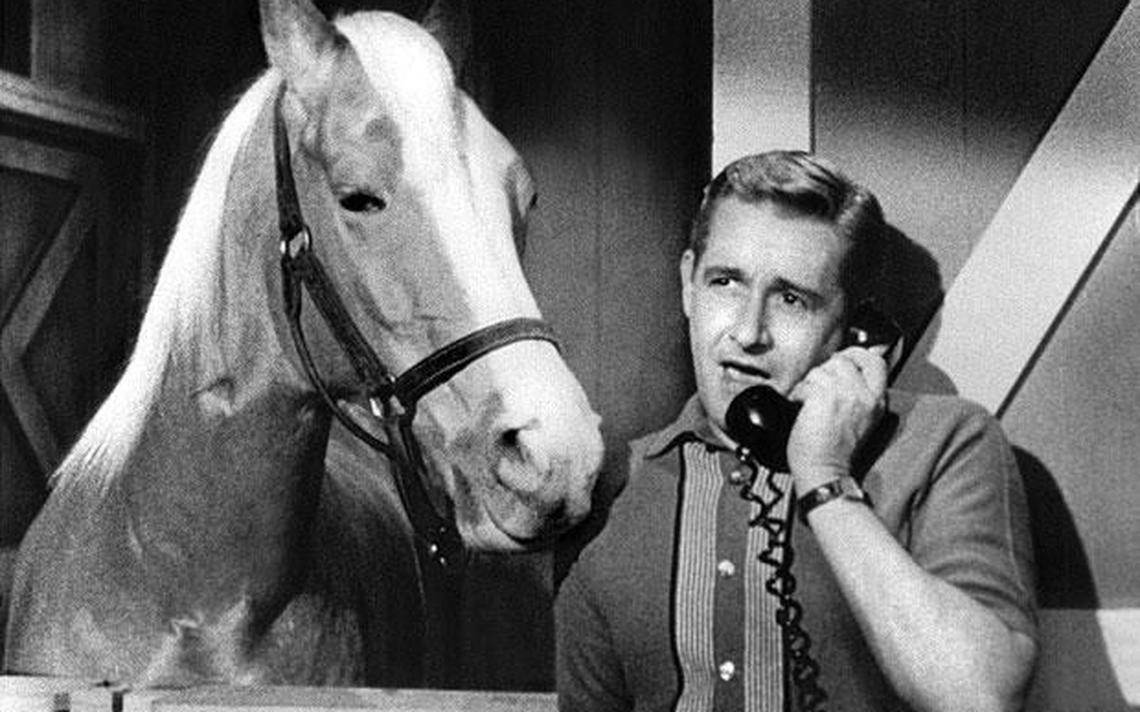 If You Know 15/20 of These Classic TV Shows, Then You Must’ve Owned a Black and White TV Mister Ed
