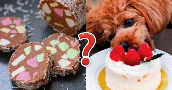 🍰 Sorry, But You Can Eat These Desserts Only If You Know Where They Come from