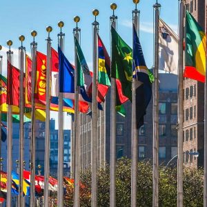 Can You Get Better Than 80% On This High School History Quiz? The International Cooperation Project