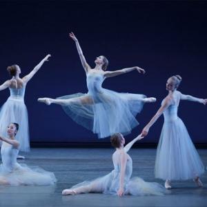 🤓 15 General Knowledge Questions Only a Know-It-All Can Answer Pointe shoes