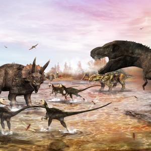 🤓 15 General Knowledge Questions Only a Know-It-All Can Answer Cretaceous period