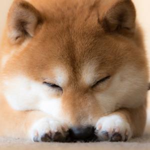Can I Guess Age By Decisions You Make On Typical Day? Quiz Nap