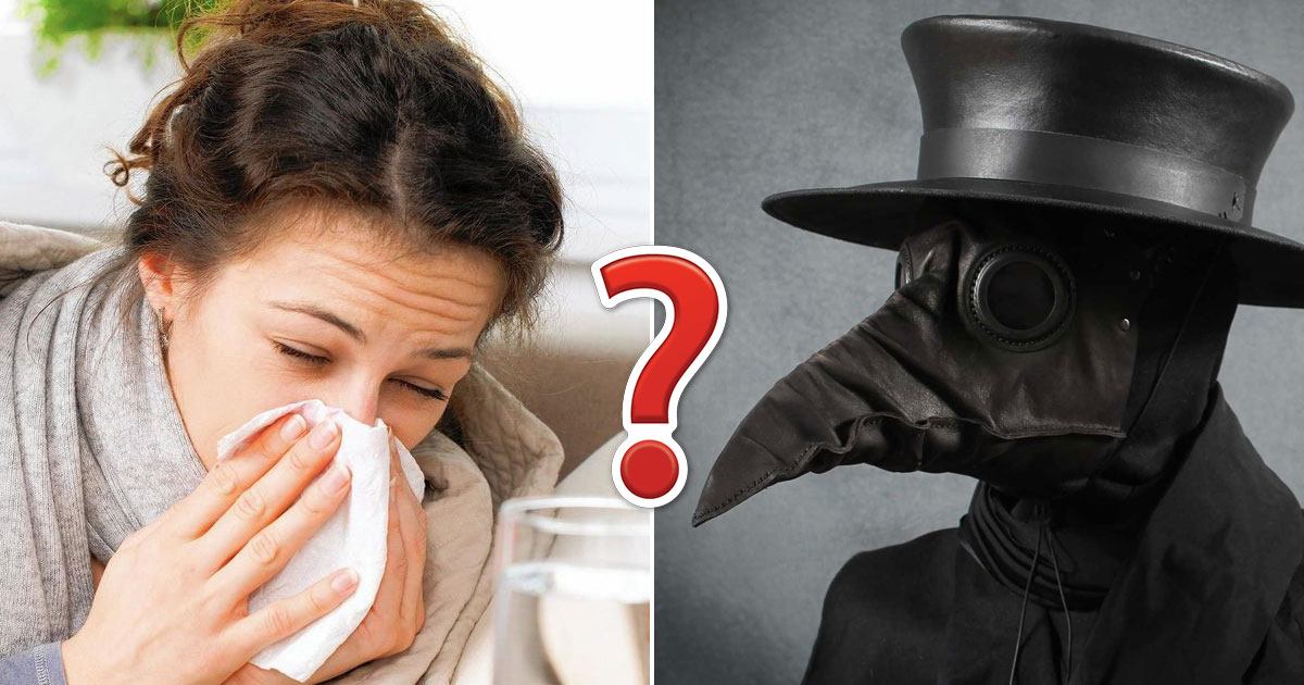 😷 Can You Actually Survive the Plague?
