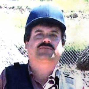 I'll Be Impressed If You Score 12 On This General Knowledge Quiz Feat. Netflix El Chapo