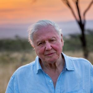 I'll Be Impressed If You Score 12 On This General Knowledge Quiz Feat. Netflix David Attenborough: A Life on Our Planet