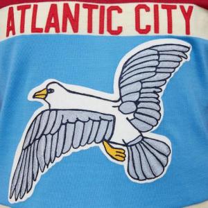 If You Can Pass This Random Knowledge Quiz, You Know Too Much Atlantic City Seagulls