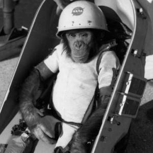 If You Get 12 On This Quiz, You Are A Space Race Expert Ham the Astrochimp