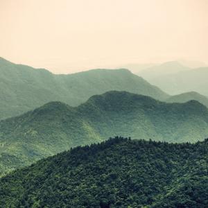 Avatar The Last Airbender Quiz Vast landscape