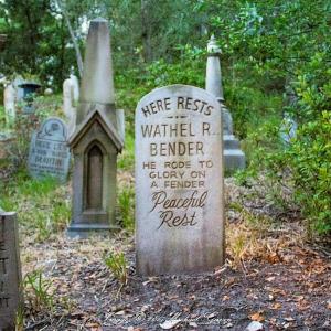 Spring Idioms Quiz Being dead and buried