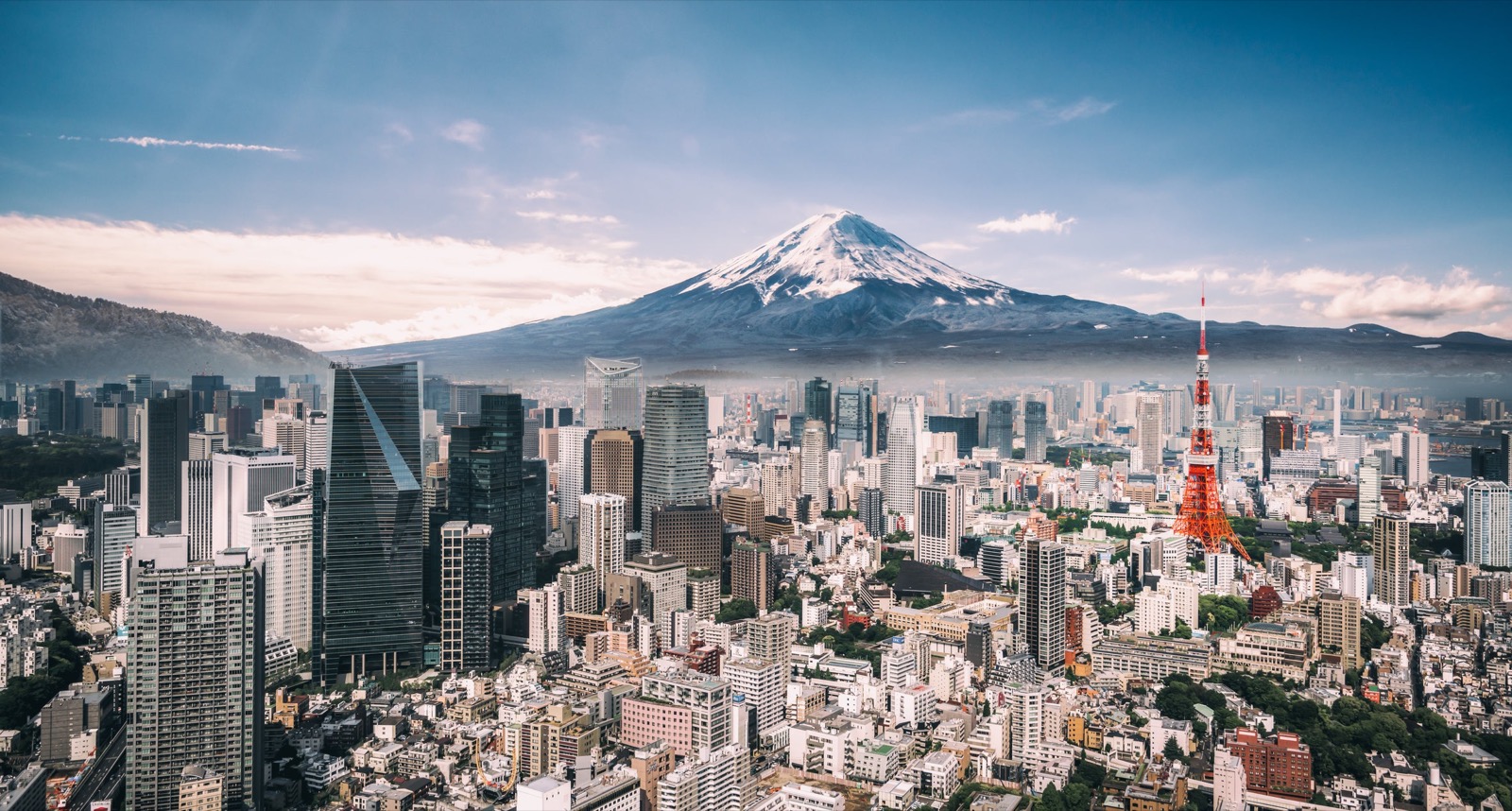We’ll Honestly Be Impressed If You Score 17/22 on This General Knowledge Quiz Tokyo Tower Mount Fuji Japan