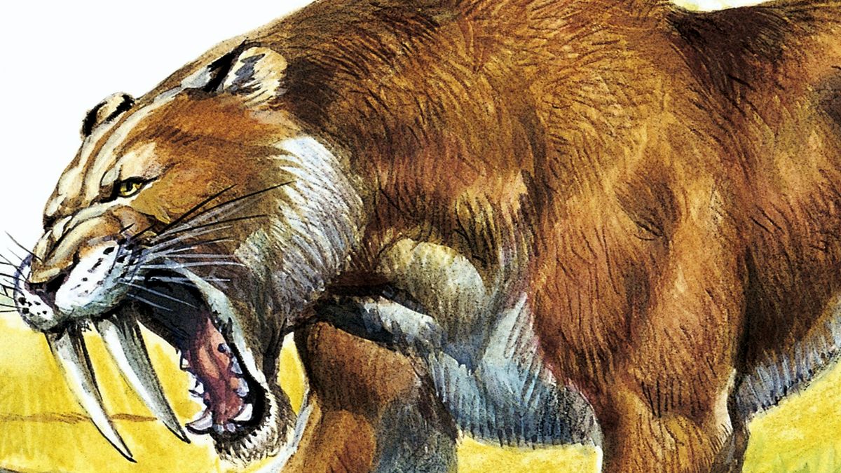 Are You Smart Enough to Pass This 🧊 Ice Age Quiz? Saber Tooth Tiger