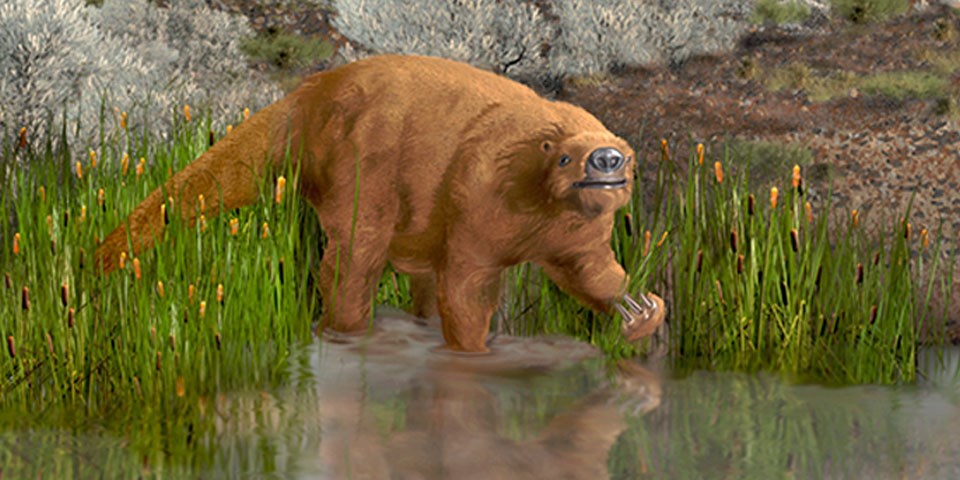 Are You Smart Enough to Pass This 🧊 Ice Age Quiz? Ground Sloth