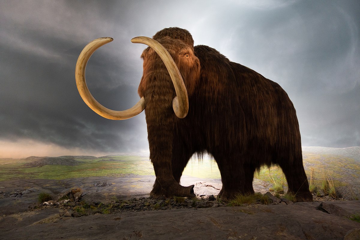 Are You Smart Enough to Pass This 🧊 Ice Age Quiz? Woolly mammoth