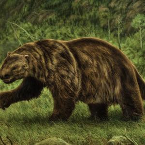 Are You Smart Enough To Pass This 🧊 Ice Age Quiz? Woolly sloth