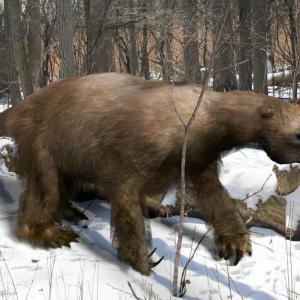 Are You Smart Enough To Pass This 🧊 Ice Age Quiz? Mastodon