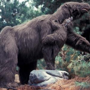 Are You Smart Enough To Pass This 🧊 Ice Age Quiz? Giant ground sloth