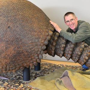 Are You Smart Enough To Pass This 🧊 Ice Age Quiz? Giant Ground Armadillo