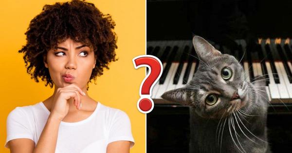You Can Pass This General Knowledge Quiz Only If You Have a 🤓 Genius-Level Intellect