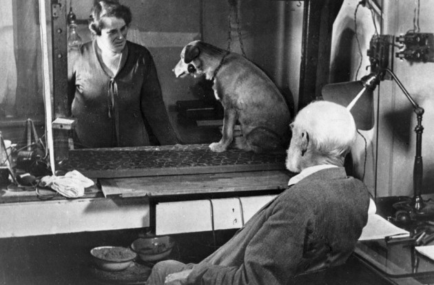 Can You Pass This General Knowledge Quiz That Gets Progressively Harder With Each Question? Pavlov's dogs
