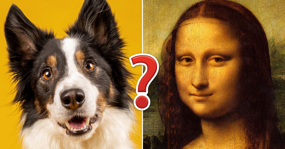 Can You Pass This General Knowledge Quiz That Gets Progressively Harder With Each Question?