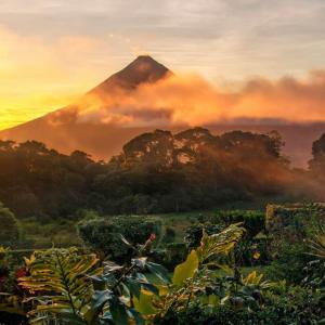 🤓 If You Score 14/16 on This General Knowledge Quiz, You’re a Nerd Costa Rica
