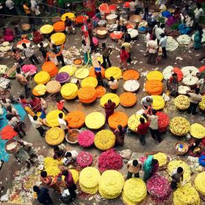 Can You Name 20 Most Populated Cities In World? Quiz Bangalore