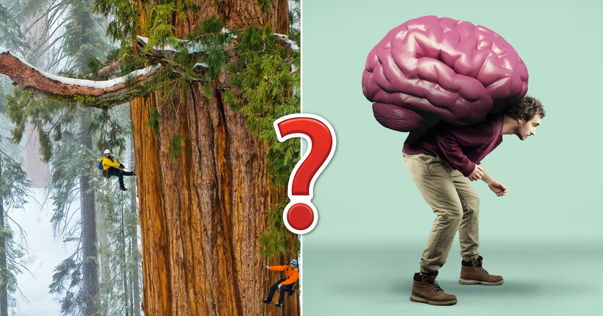 If You Get 14/18 on This Biggest Around the World Quiz, Congratulations, You Have a 🧠 Big Brain