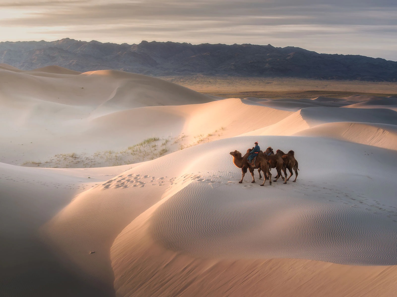 Are You a World Traveler? Test Your Knowledge by Matching These Majestic Natural Sites to Their Countries! Gobi Desert, Mongolia Camels