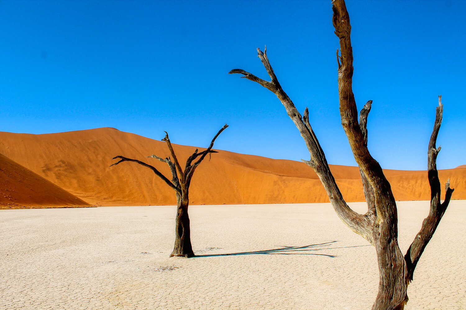 🌋 Most People Have No Idea Which Continent These Natural Landmarks Are on — Do You? Namib Desert, Namibia