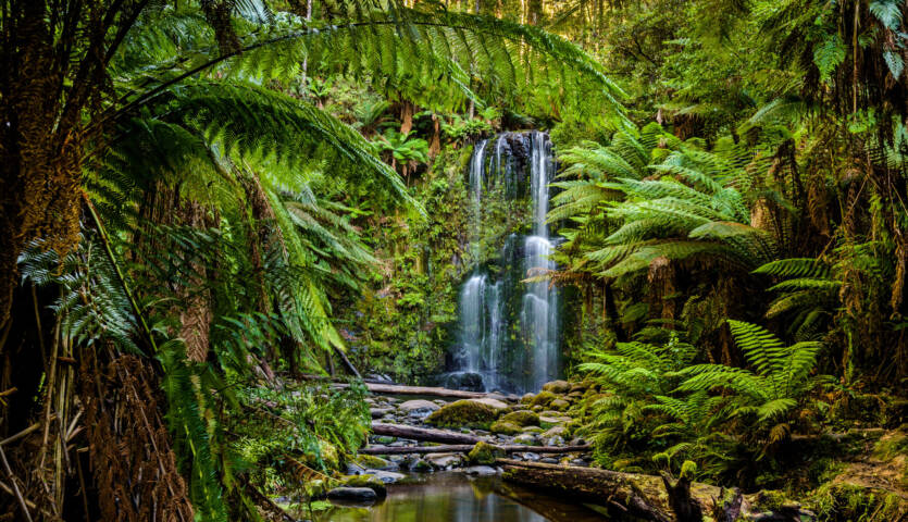 If You Get More Than 12/16 on This Smallest Around the World Quiz, You Are Too Smart Beauchamp Falls, Great Otway National Park, Victoria