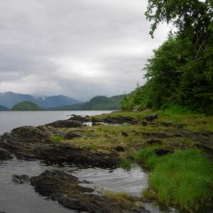 If You Get More Than 12/16 on This Smallest Around the World Quiz, You Are Too Smart Tongass National Forest