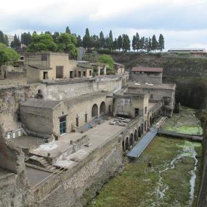 If You Get 14/17 on This Random Trivia Quiz, Then It’s Official: You Are Extremely Knowledgeable Herculaneum