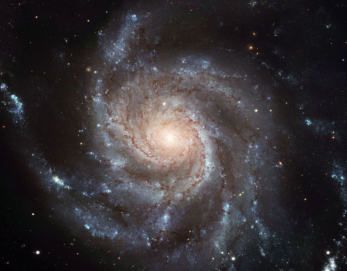 🪐 Only Astrophysicists Can Pass This Quiz on Space Beyond Our Solar System spiral galaxy