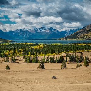 Desert Trivia Quiz Carcross Desert