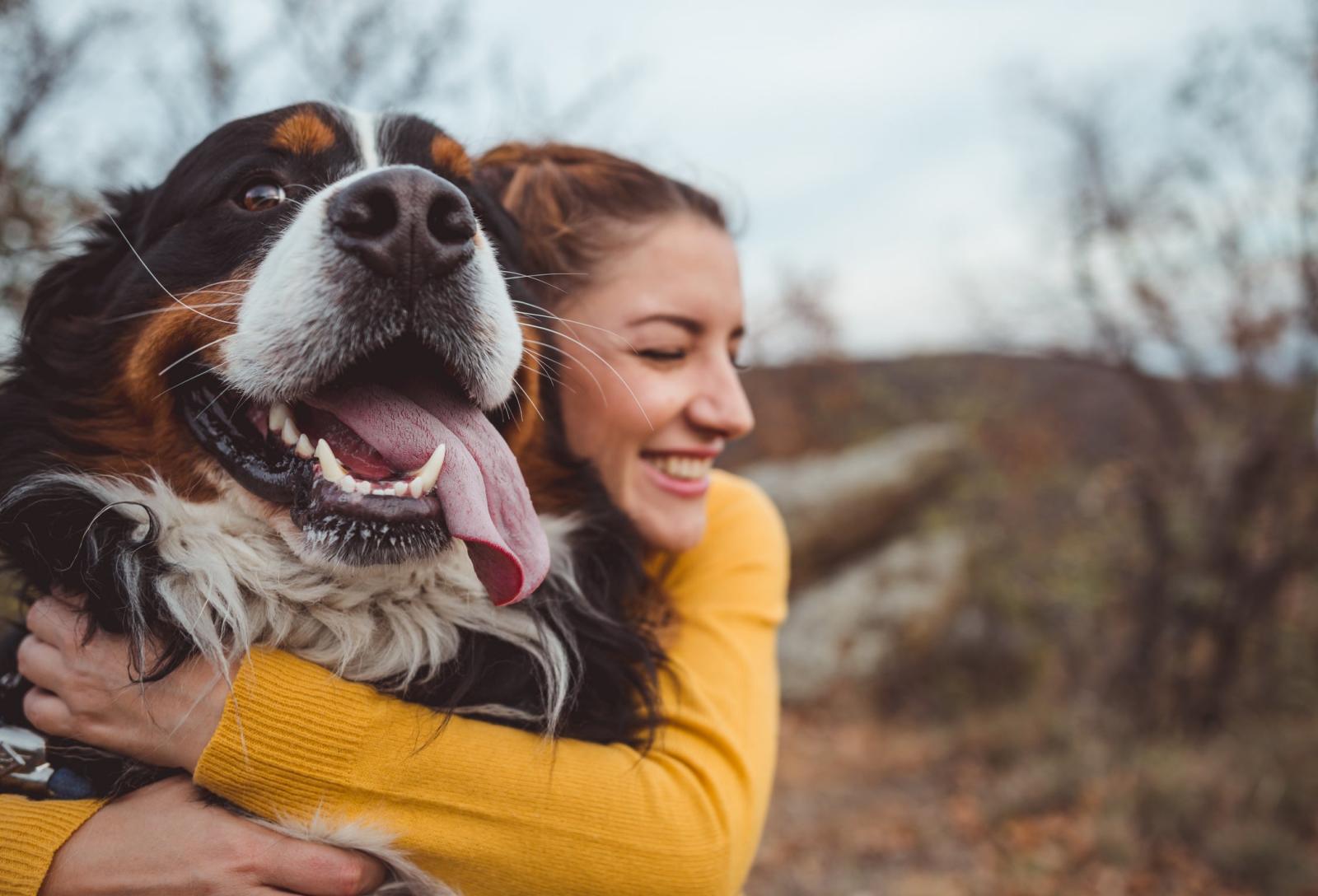 If You’ve Done 15/25 of These Things Then You’re an Extremely Nice Person Pet Dog With Owner