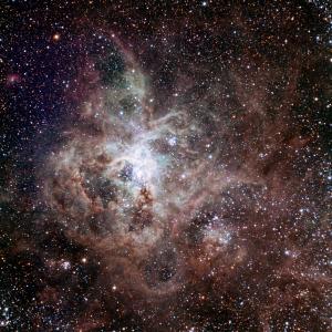 If You Pass This Quiz WIth Flying Colors, Then You Definitely Know Enough About Science Nebula