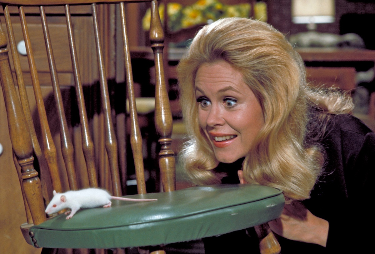 Only a True Classic TV Expert Will Know the Last Names of 14/20 of These Actors Bewitched