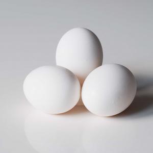 Pick Strongest Among Things To Know Your Greatest Stren… Quiz Rotten eggs