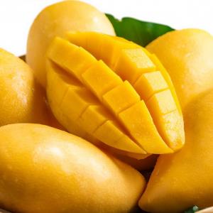 Food Personality Quiz Mangoes