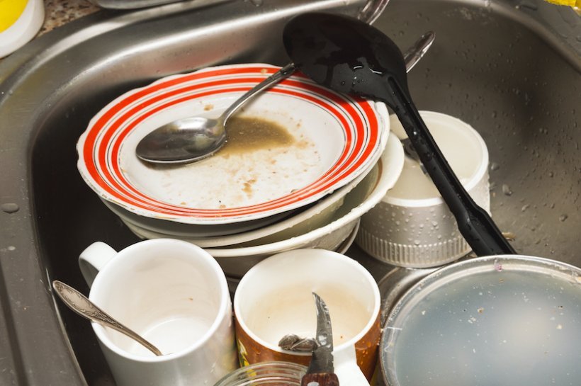 🚿 From A+ To F, Where Do You Rank In Terms Of Hygiene? Quiz I do dishes every few days