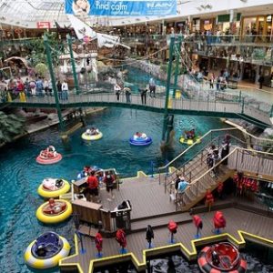 Plan a Trip to Canada and We’ll Reveal Which Dog Breed Suits You the Best West Edmonton Mall