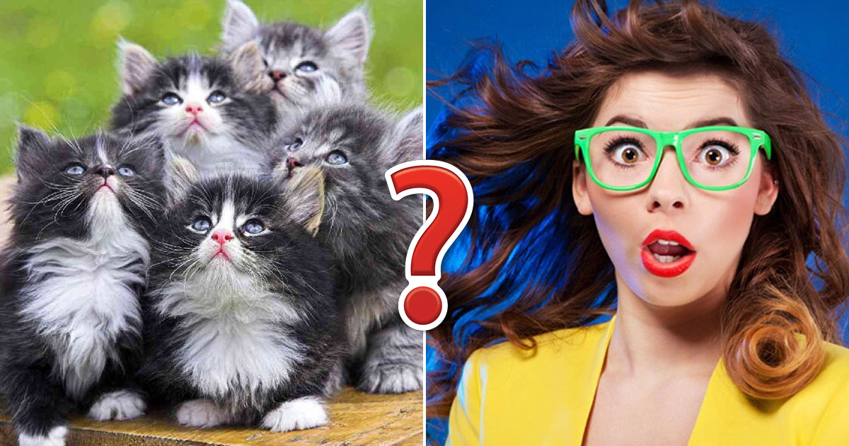 🤓 If You Score 14/16 on This General Knowledge Quiz, You’re a Nerd