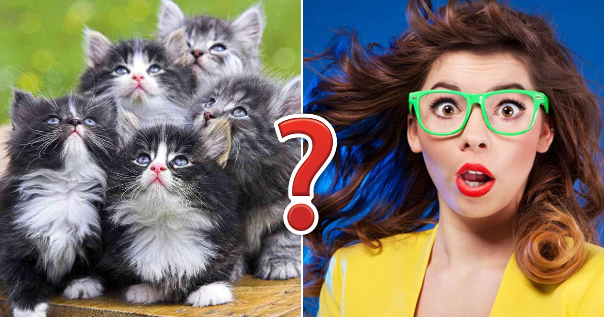 If You Score 14 on This General Knowledge Quiz, You're Nerd