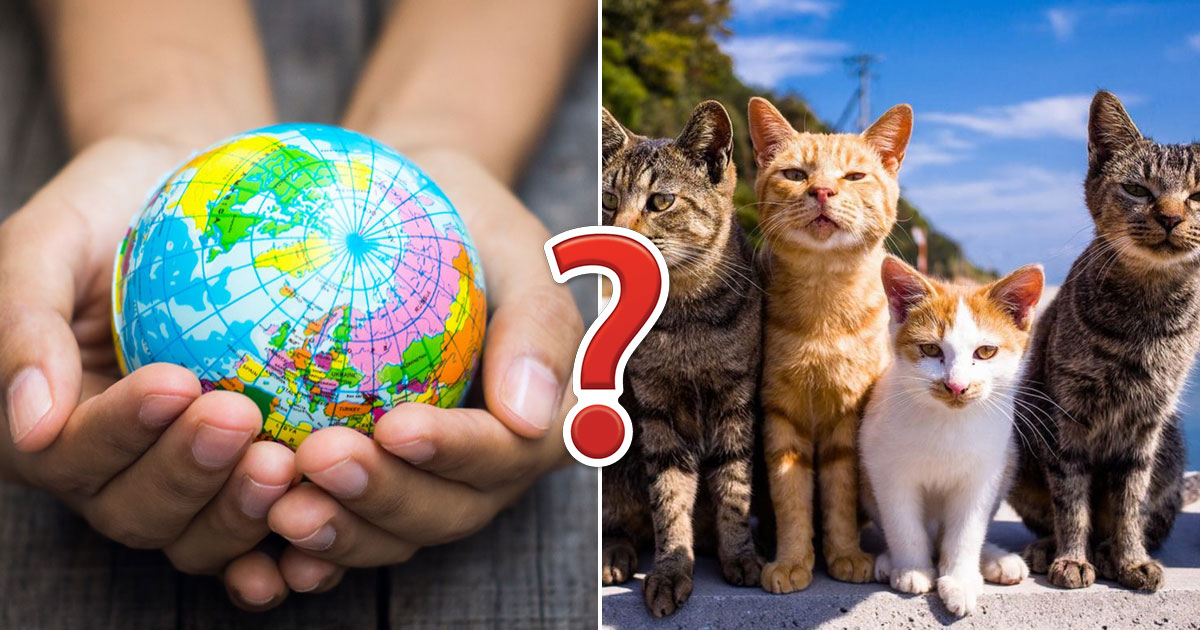 Only A Geography Genius Will Score 80/100 In This Monster Quiz