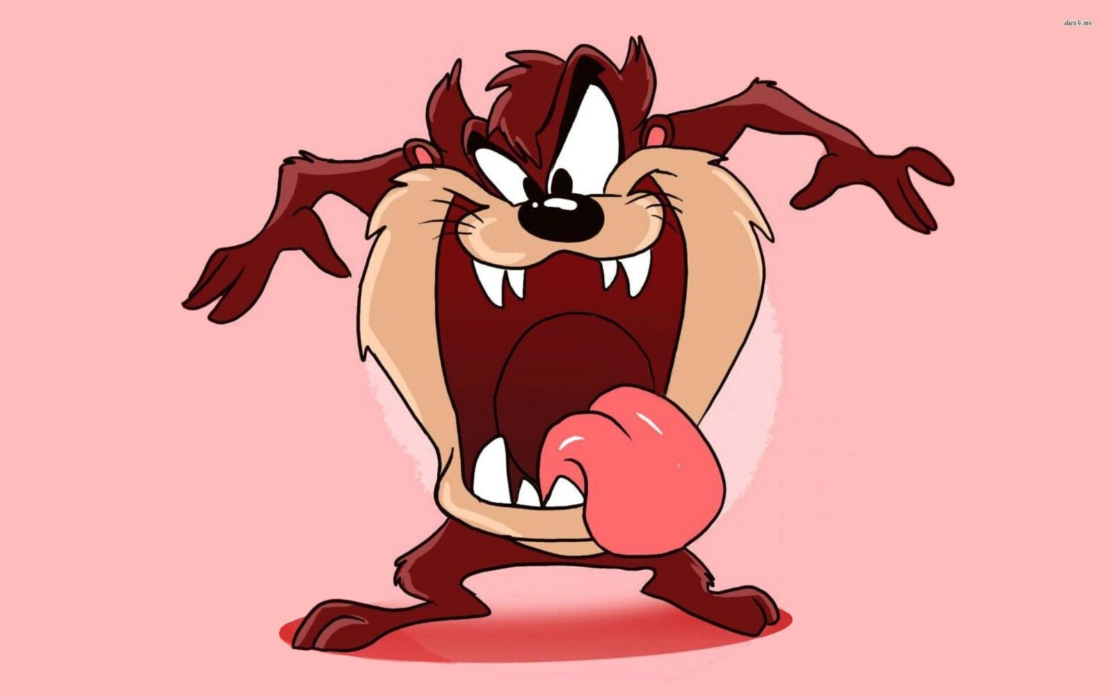 Looney Tunes Tasmanian Devil cartoon