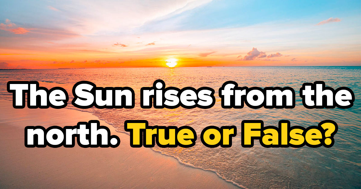 If You Can Pass This “True or False” Trivia Quiz Without Googling, Your Brain Is Amazing